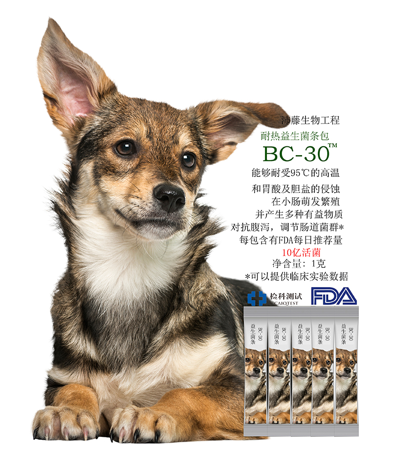 BC-30宠物用益生菌条包