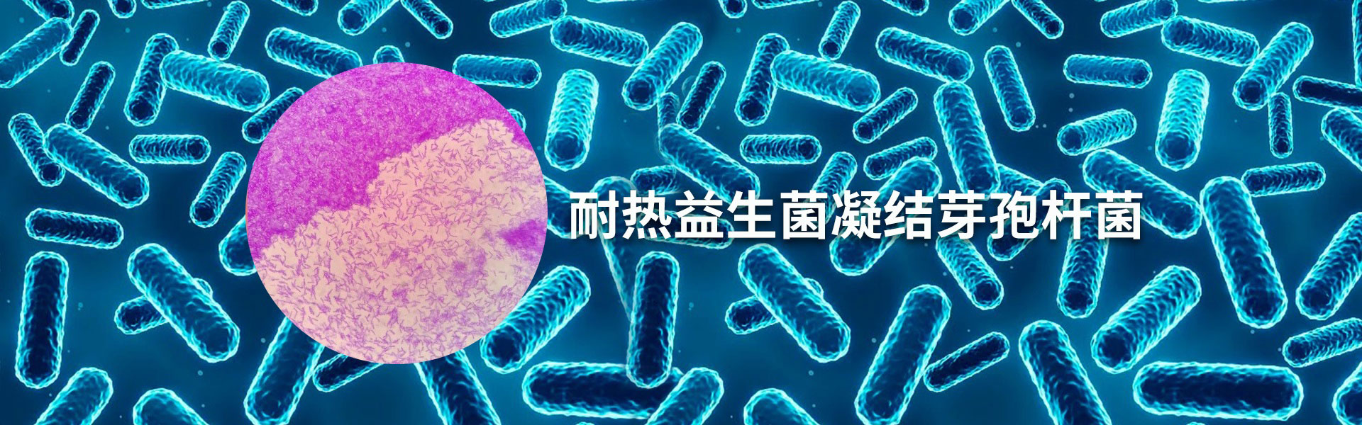 幻灯一